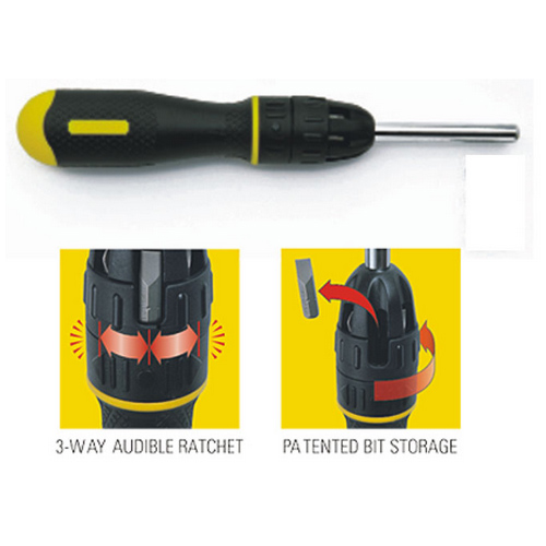 10 Piece Multi-Bit Racheting Screwdriver